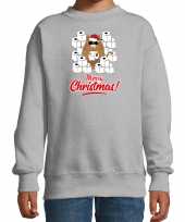 Foute kerstsweater verkleedkleren met hamsterende kat merry christmas grijs voor kinderen