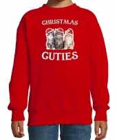 Kitten kerst sweater verkleedkleren christmas cuties rood voor kinderen